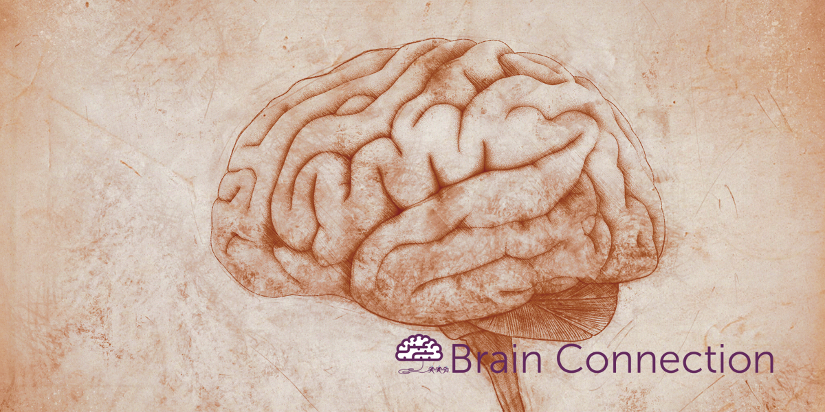 old-brain-fb-1200×600-1 A drawing of a brain on a piece of paper