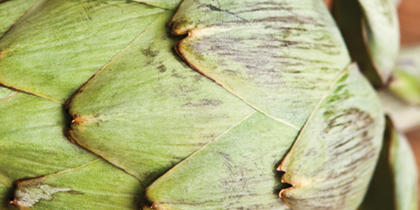 artichokes A green artichoke on a wooden surface