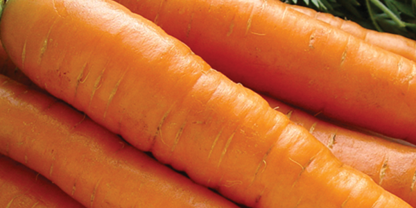 carrot A bunch of carrots sitting on top of a table