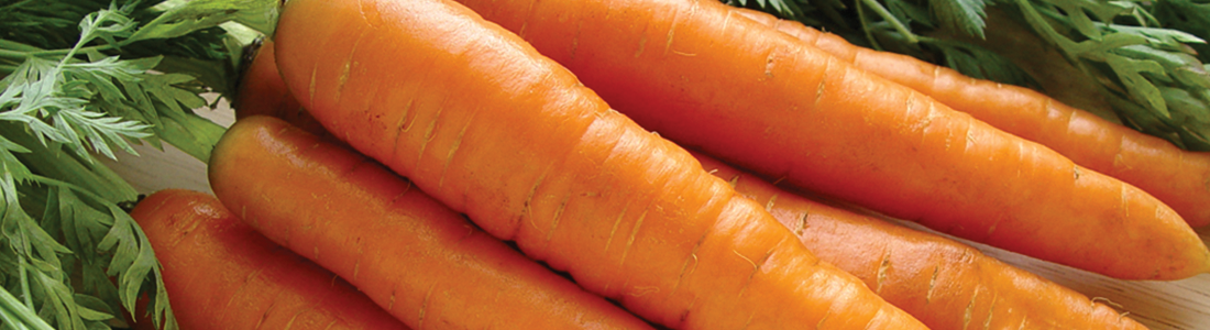 carrot A bunch of carrots sitting on top of a table
