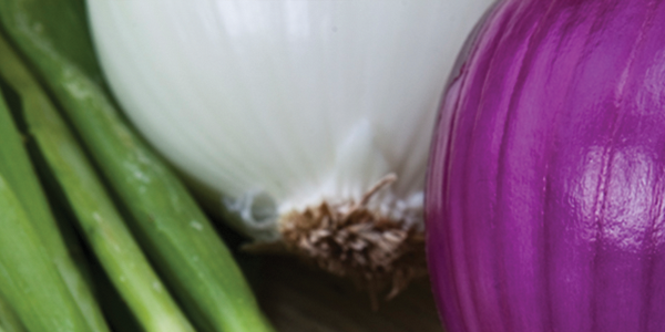 chili A close up of a purple onion and green onions
