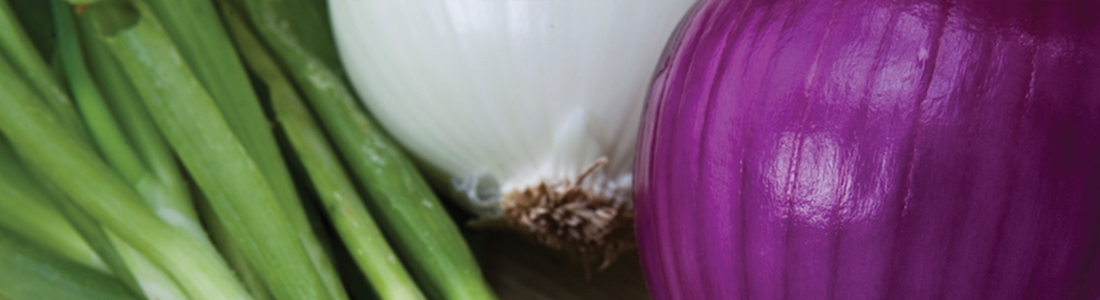 chili A close up of a purple onion and green onions