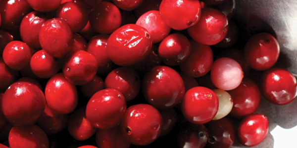 cranberries A close up of a bowl of candy