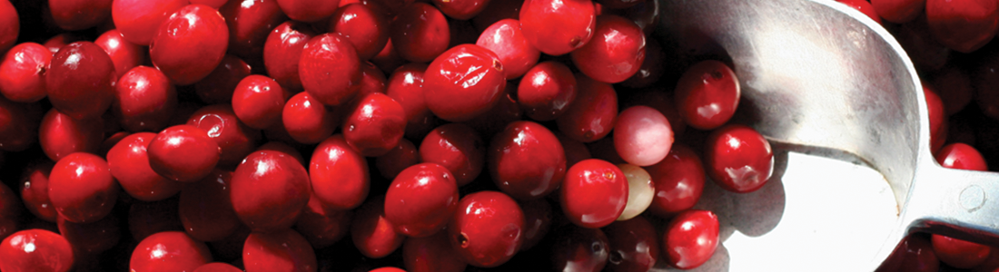 cranberries A close up of a bowl of candy