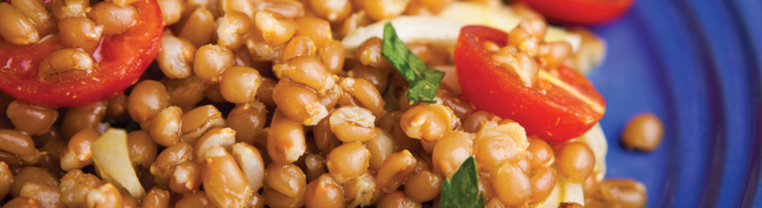 curriedwheat A close up of a plate of food with beans
