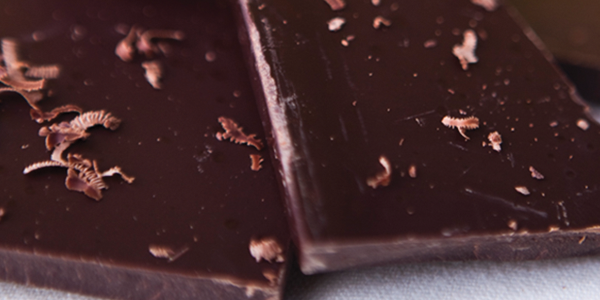 fudge_0 A close up of pieces of chocolate on a table