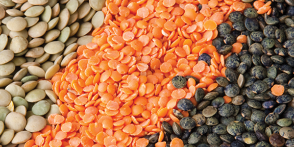 lentil A pile of beans and carrots next to each other