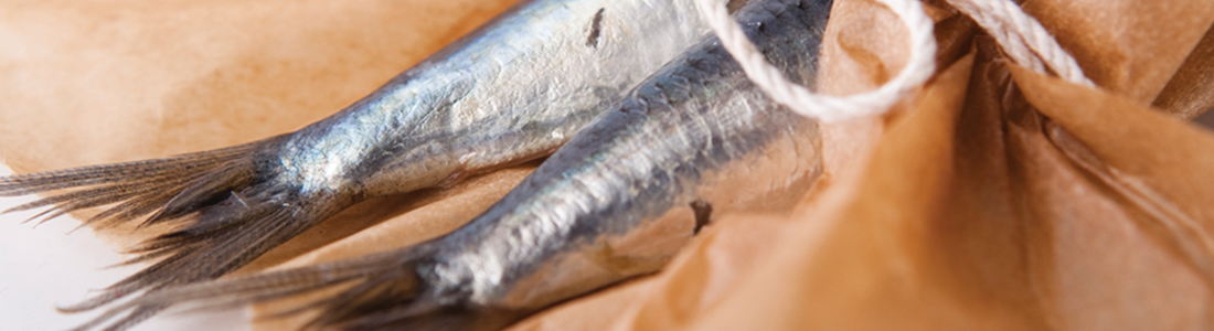 sardine A fish on a piece of brown paper