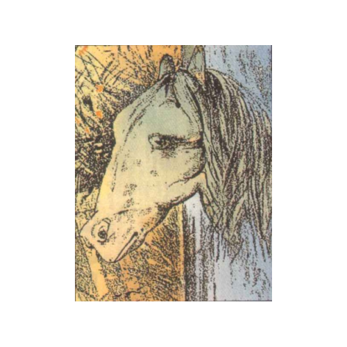 teaser-hidden-animals-01 A drawing of a horse's head is shown