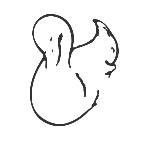 teaser-hidden-animals-03 A black and white drawing of a bird