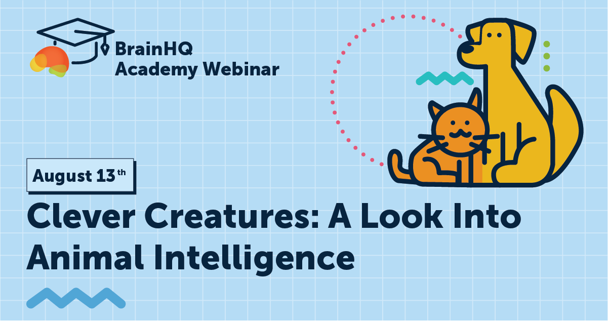 Clever creatures: A look into animal intelligence